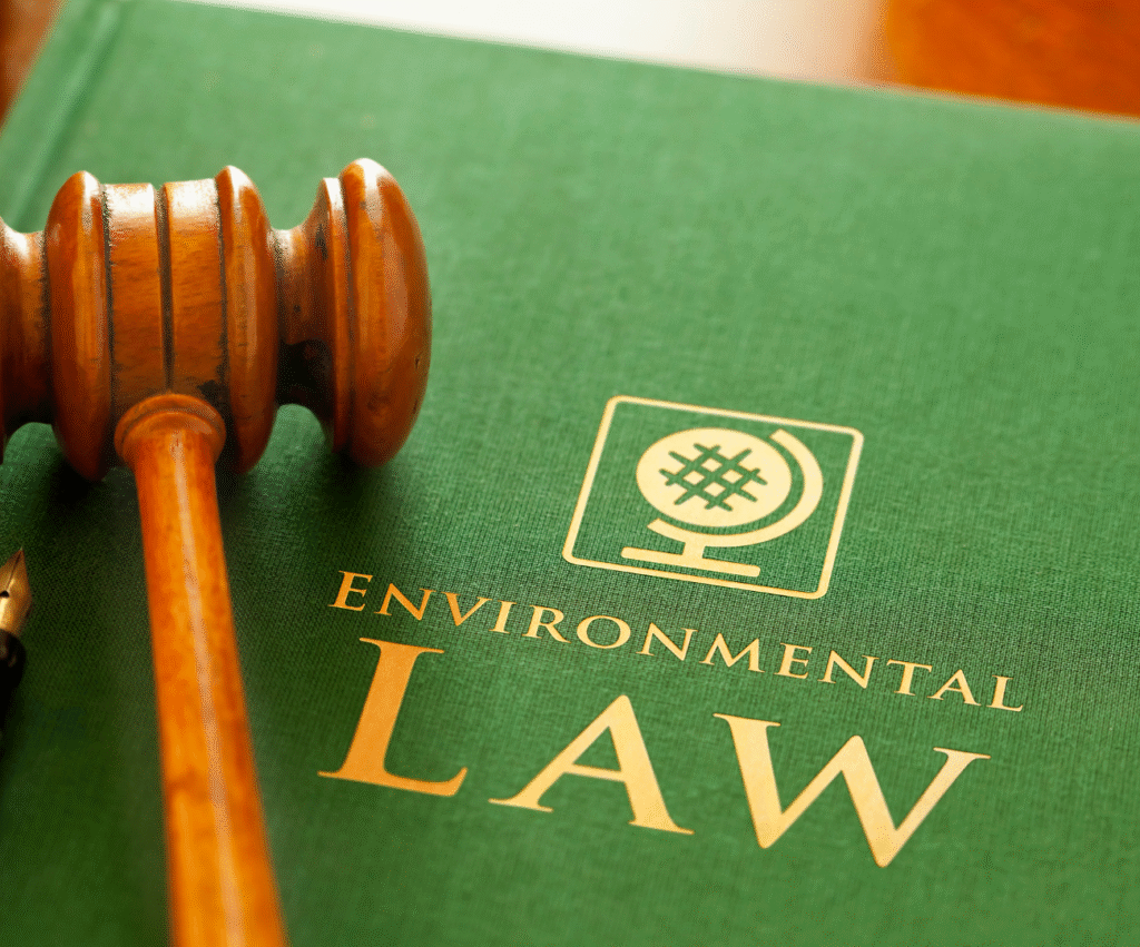 Droit de l'environnement et de l'énergie